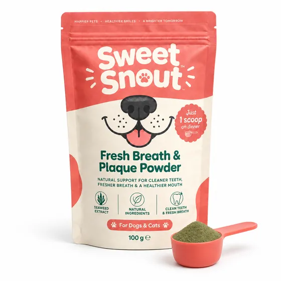 Sweet Snout Fresh Breath & Plaque Powder pouch with the coral scoop full of green seaweed powder